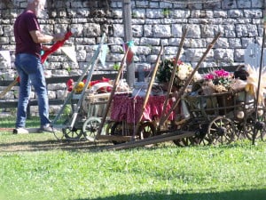 bovaro del bernese raduno grabber folgaria 2016  3